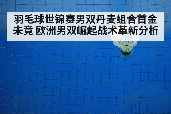 badminton net play