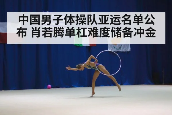 中国男子体操队亚运名单公布 肖若腾单杠难度储备冲金