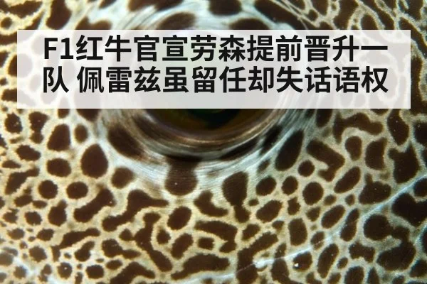 F1红牛官宣劳森提前晋升一队 佩雷兹虽留任却失话语权